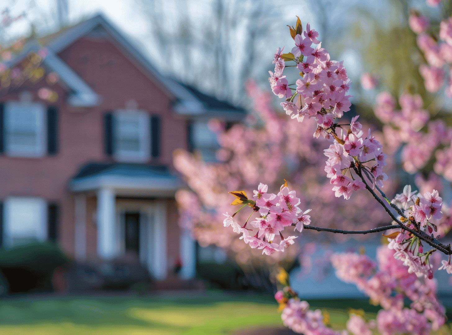 How to Rent Out My House: Top Tips for a Spring Property Refresh